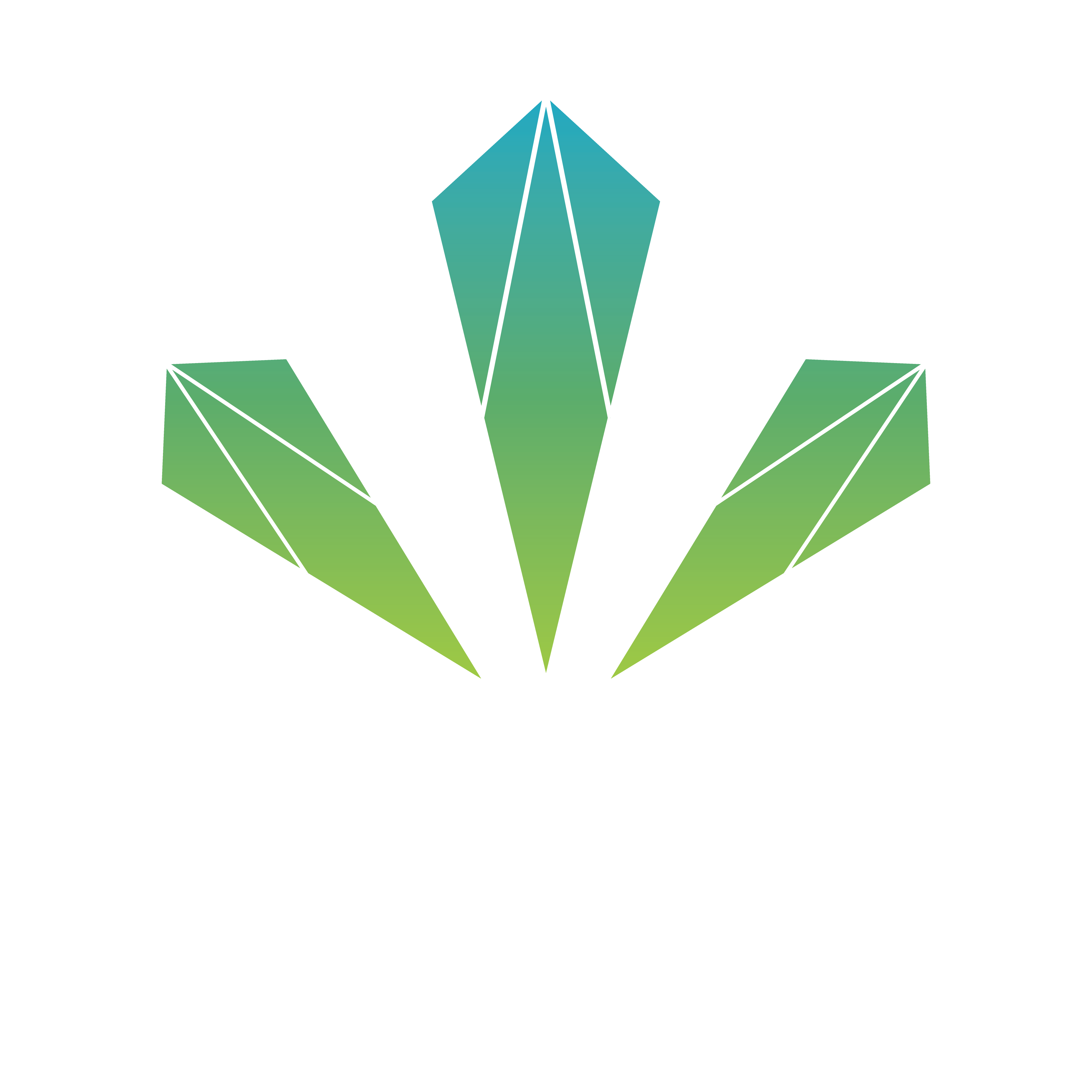 Minex Mining Company